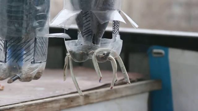 Синичкина столовая