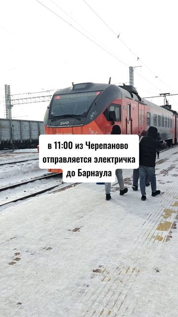 Как добраться из Новосибирска до Барнаула дёшево