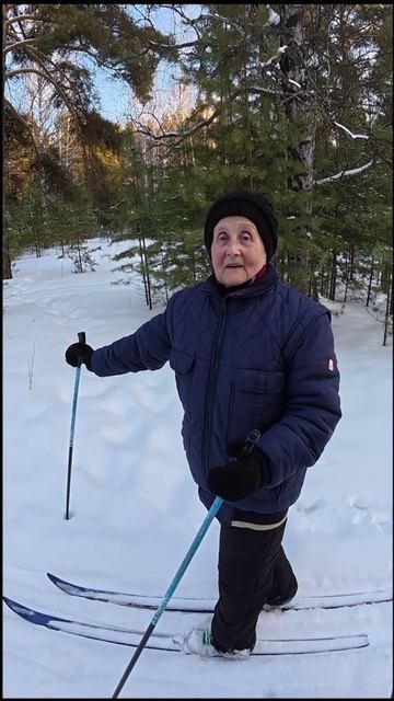 Прогулка по лесу