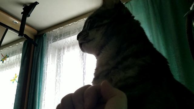 глупые снежинки марту не нужны