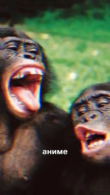 Кто такие хейтеры игры мисайд? #miside