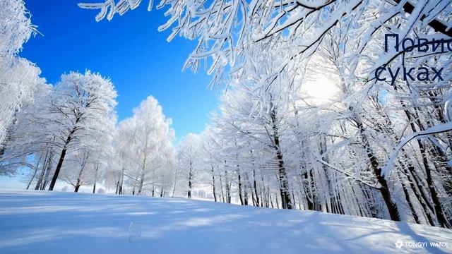 Волшебная зима