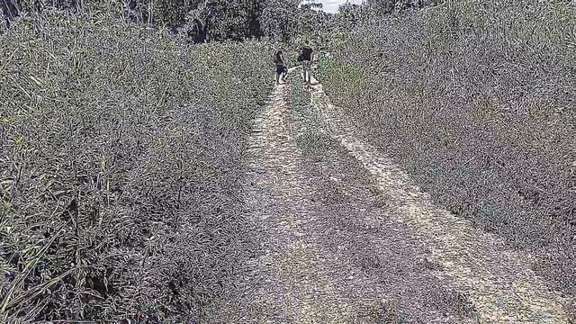 ВЛОГ: 1 Отдых с друзьями ,,Спонсора-нет)