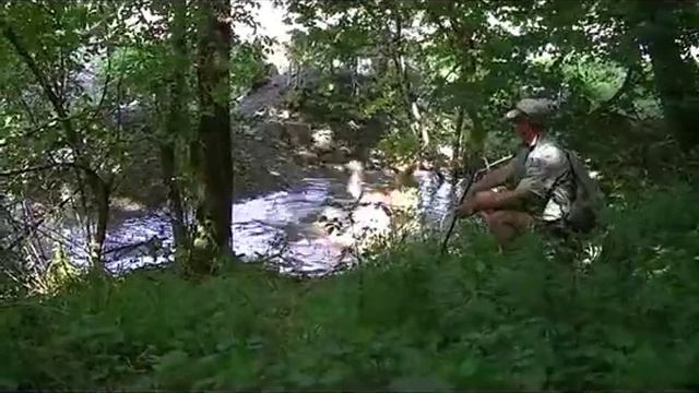 Самая лучшая работа на свете - пастух!