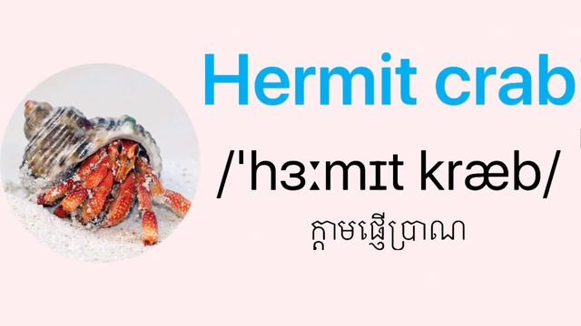 Ep03. Learn English To Khmer Vocabulary Words With Pictures About Animals Speak English (One SuY)