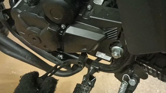 Преждевременное открытие сезона и его последствия