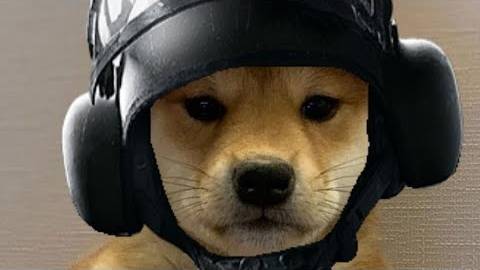 6207077037-293698290