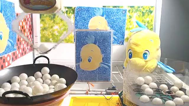 Got [Flounder - Chibis Mega Jumbo Plushy]!!