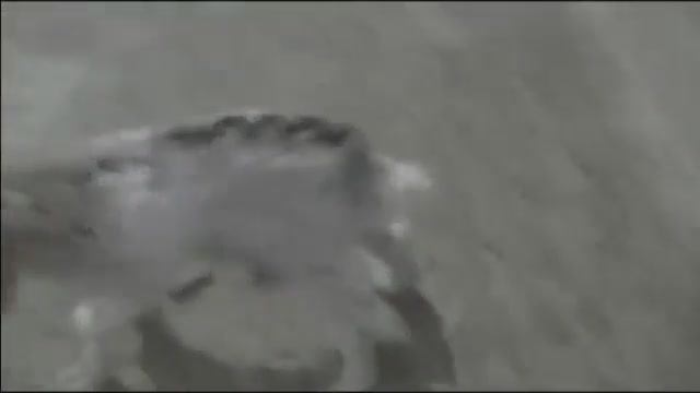 Целительная сила молозива