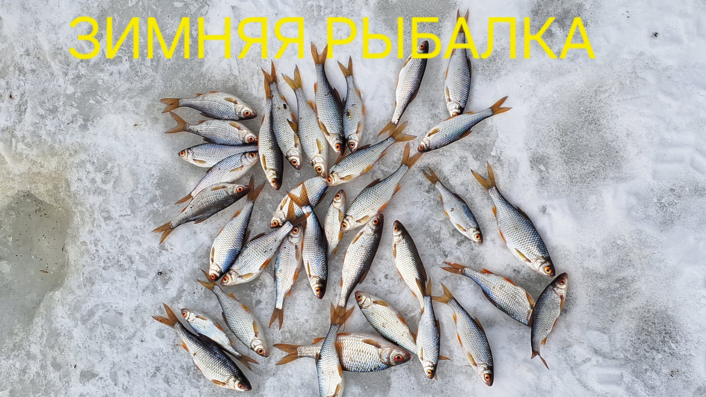 23990645999516d17cd0cfd3594418f4