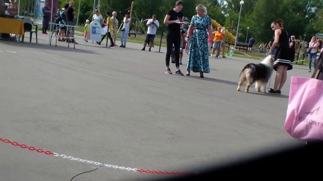 Электрогорск Bestdog.mybb.ru