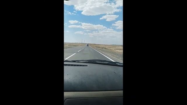 Познавательные программы