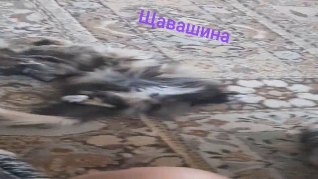 отдых после рабочего дня