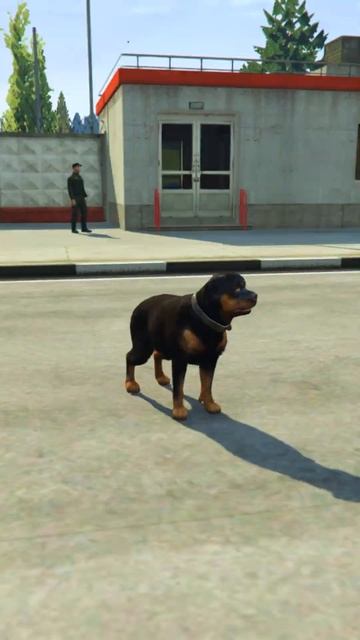 СОБАКИ ПРОНИКЛИ В АРМИЮ | (GTA 5 RMRP - Криминальная Москва)