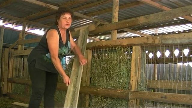 Наши кормушки