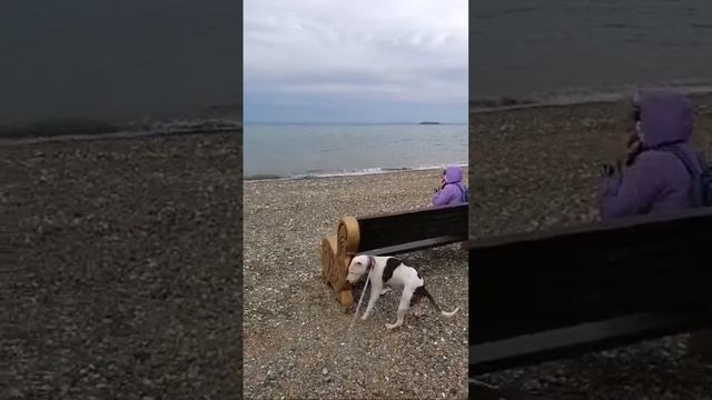 прогулка на пляже 