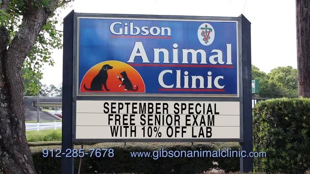 Football WAY 054458 GAC