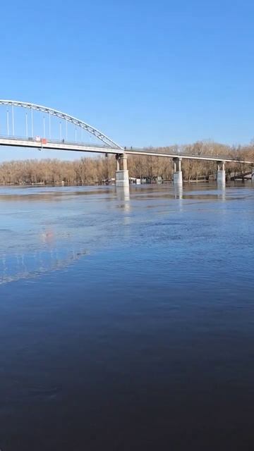 Никто не ожидал такого роста воды #паводокгомель