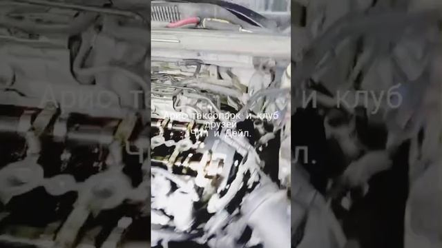 Клуб Друзей 