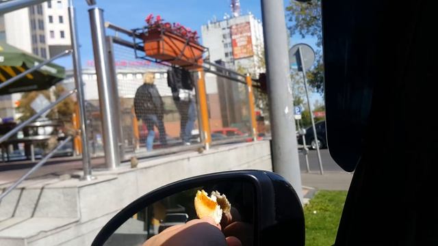 Воробьи в МакДаке