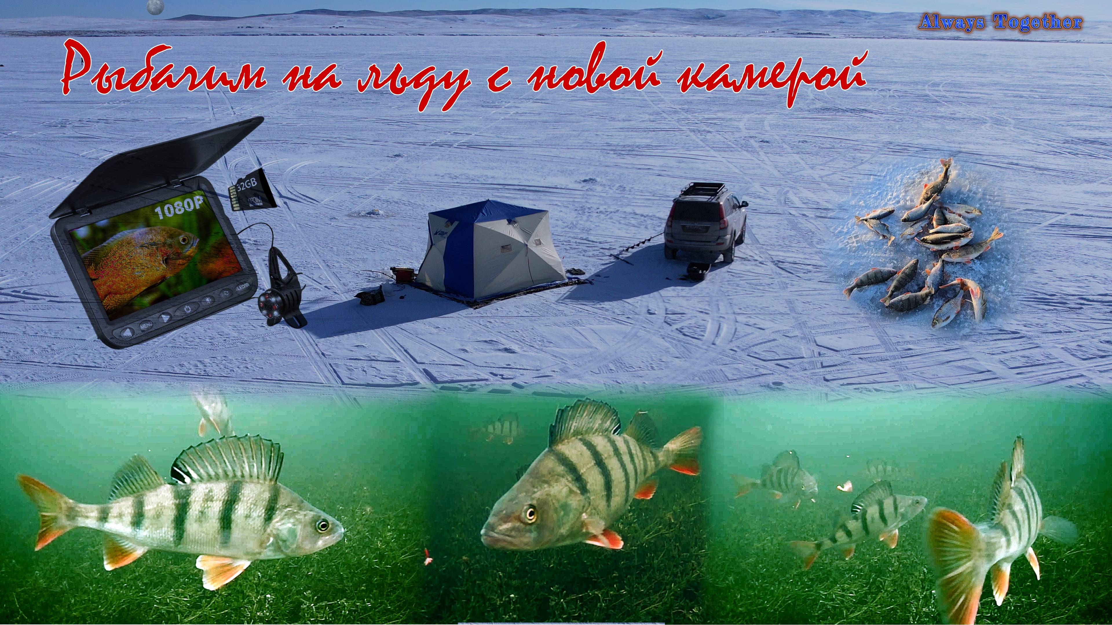 Искали и нашли. Мечта рыбака. Крупный окунь. На льду с комфортом!