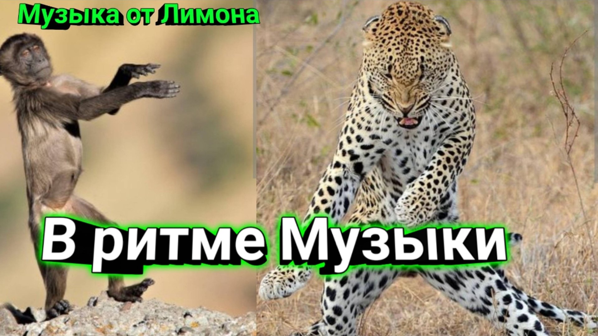 2745b559d16b352c2e70859bc0d20609