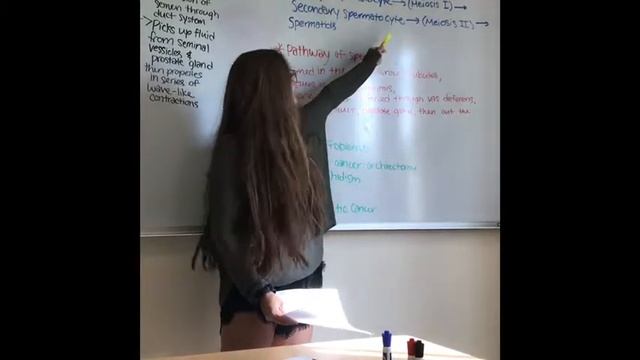 Student Review Chapter 27  Reproductive System
