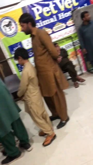 #petvet #doglover #treatment #puppylove #dogtreat #dogmedicine #hospital