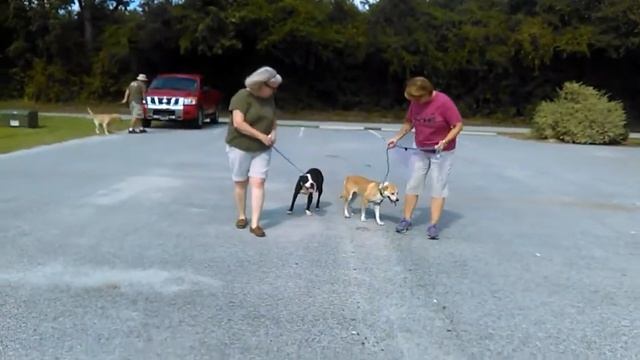 Caroline And Homer 8.26.17