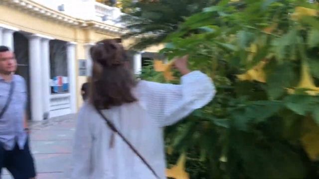 8c5324c76cdfda0e255ad33f6f78f56c