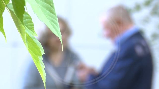 Аграрии Костанайской области просят объявить ЧС из-за проблем с уборочной компанией