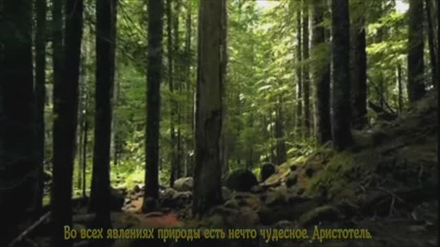 Явления природы.