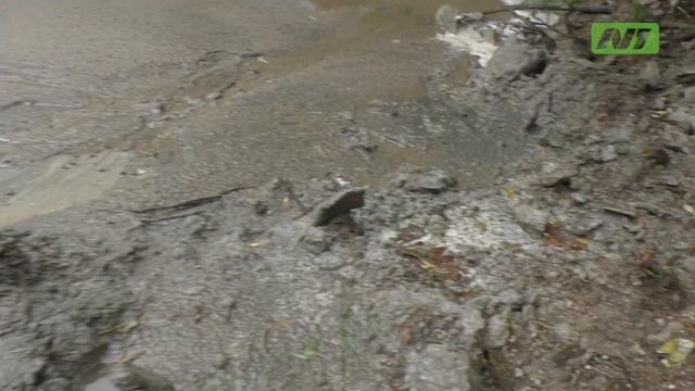 Хитрый вартовчанин забетонировал лес