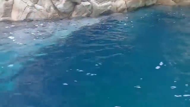 грот мертвецов