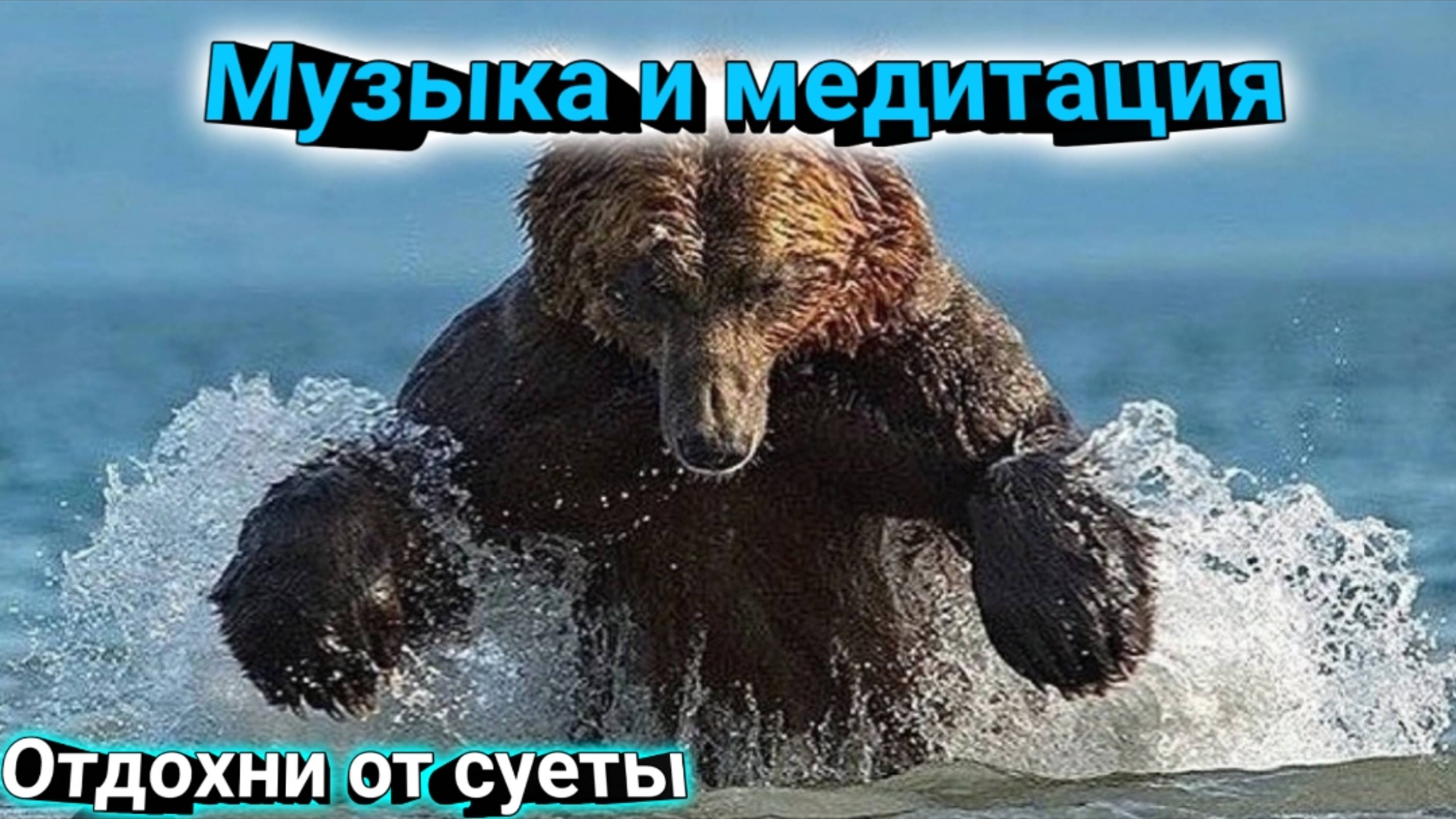 70fa91089d649eaa6efdd8b3be0351ab