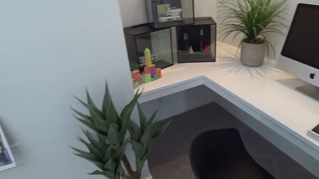 МИЛЛИОННАЯ ЛОТЕРЕЯ В АЛЬБЕРТЕ 