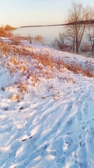 1e770989593d60458811cb75d7609569