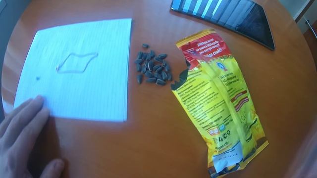 Что я нашёл в пачке с семечками.