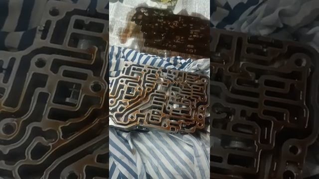 Водные оазисы