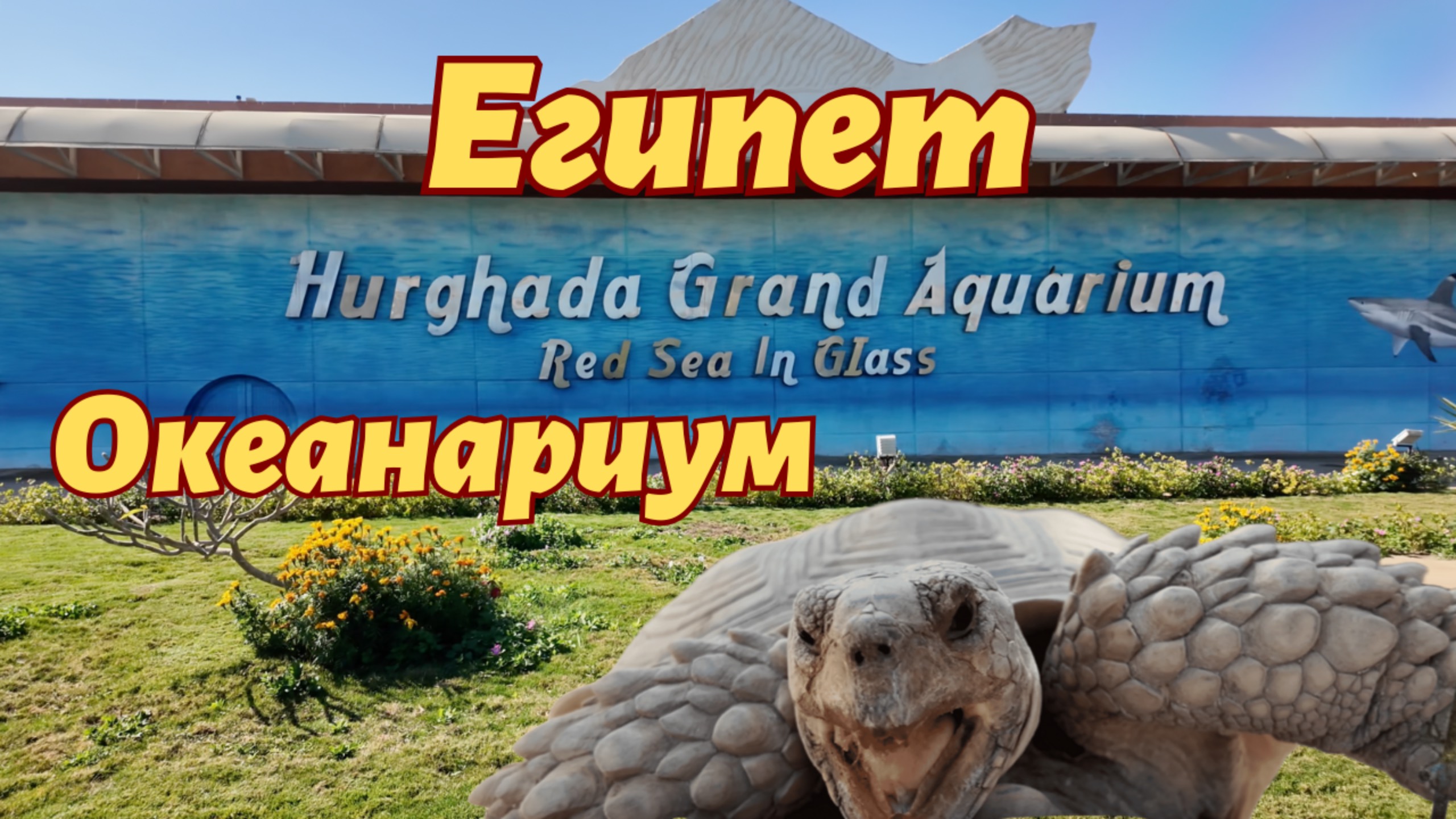 Египет 2025 Хургада Океанариум Hurghada Grand Aquarium