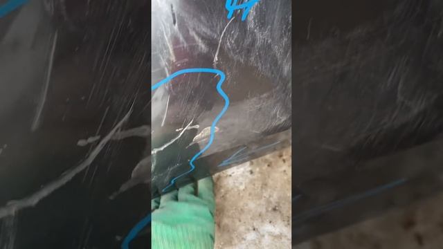 Euro Car Enthusiast Federation