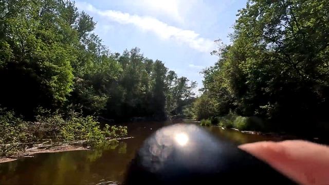 Сап сёрфинг на речке Коваши(Сосновый бор) 2024