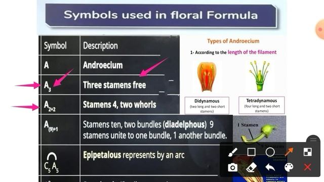 Symbols Used In Floral Formula And Floral Diagram | Botany