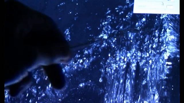 6aea4bb2bb3fa56cce4301d467d9f58f