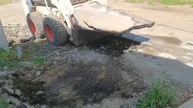 Боб-кет срывает асфальт