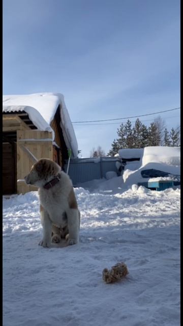 E50f734ec1a5365e475e3d5e25821fb1