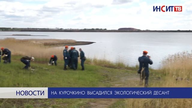 На Курочкино высадился экологический десант