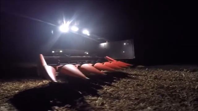 Уборка кукурузы на зерно на комбайне Claas Lexion 510 с жаткой Capello Quasar R6