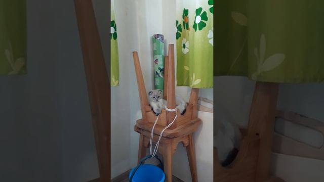 D1637c79e7bb8d96c6ea78f338871e80