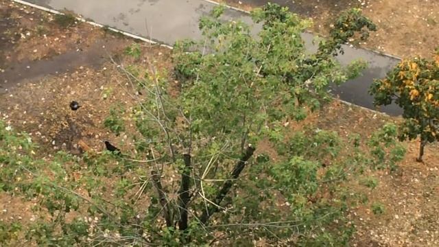 4712565174490640bde43b27f4ae70e6